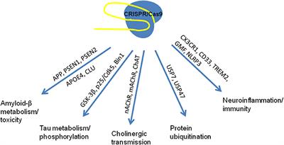 Gene Editing and Alzheimer's Disease: Is There Light at the End of the Tunnel?